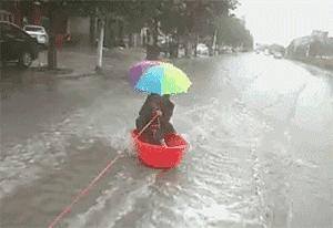 河北,绿色崛起与文化传承创新的交响之路