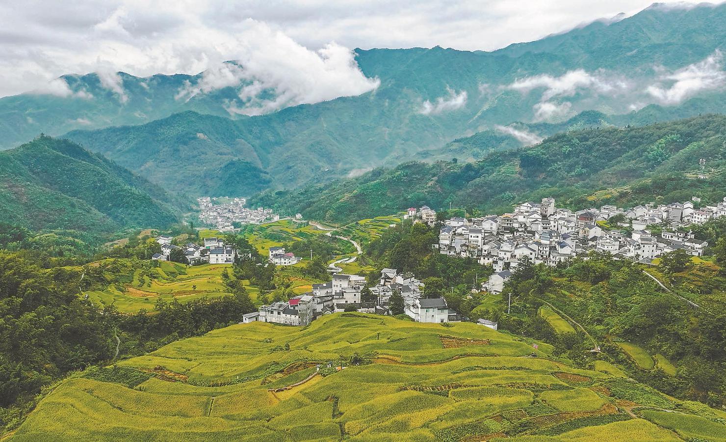 安徽绿色发展，外交部发言人点赞的先行者之路