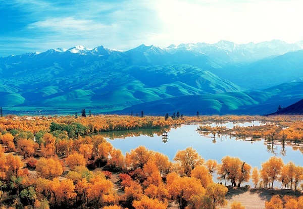 新疆，嘉宾云集，观众热情如火